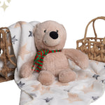 Teddy Bear Toy Blanket