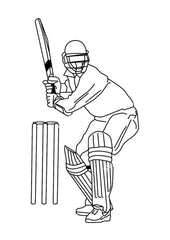 Cricket Batsman