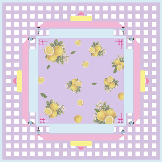 SUNNY LEMON CHECKS