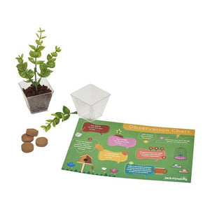 The Little Gardener 6-in-1 DIY Craft Box