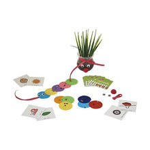 Load image into Gallery viewer, The Little Gardener 3-in-1 DIY Craft Box