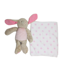Load image into Gallery viewer, Pink with Bunny toy
