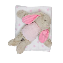Load image into Gallery viewer, Pink with Bunny toy